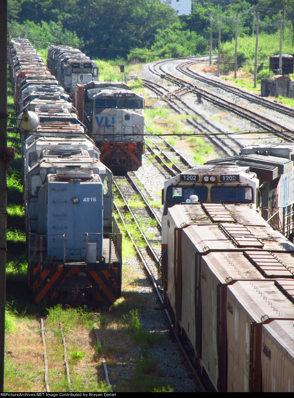 VLI 4816